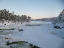 Jäniskoski, Januar 2014