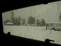 0303_Wygryny_