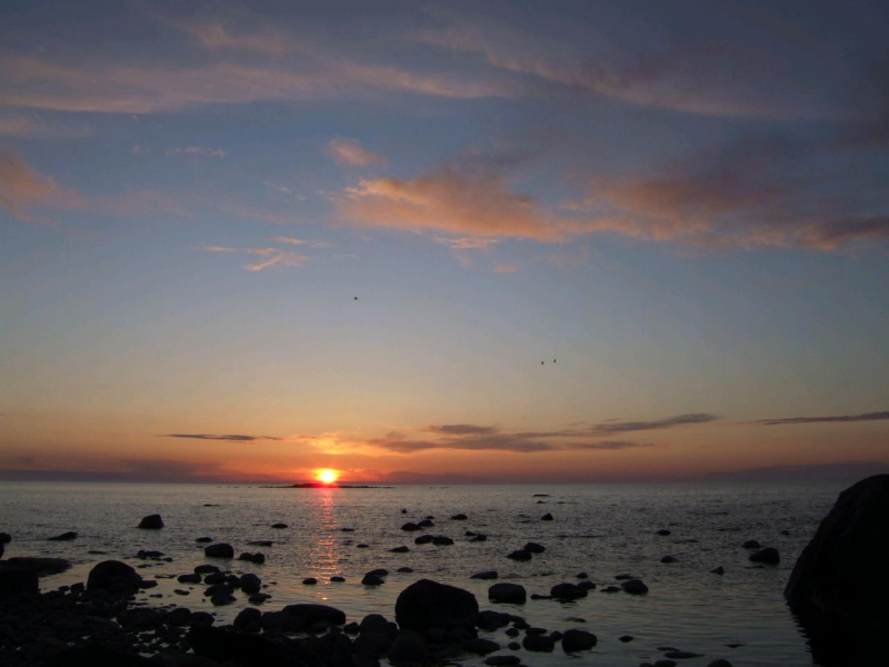 1114_ErkältungHexenschuss_