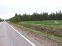 1309_RenAmStrassenrand_