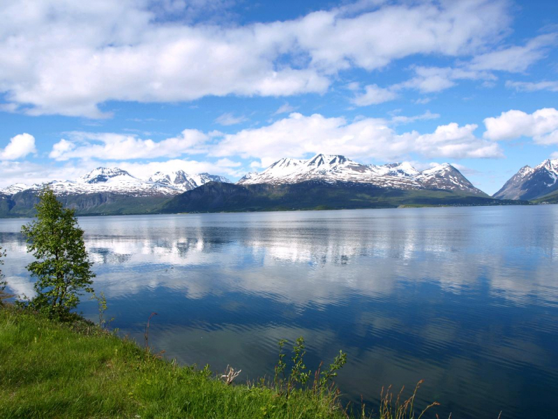 1507_MeerGällWilli_