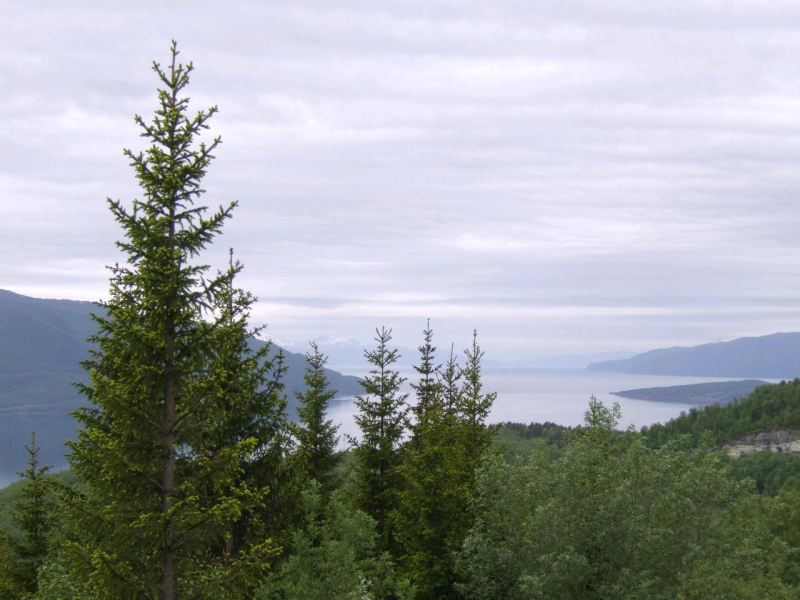 1609_AbschiedVomMeer_